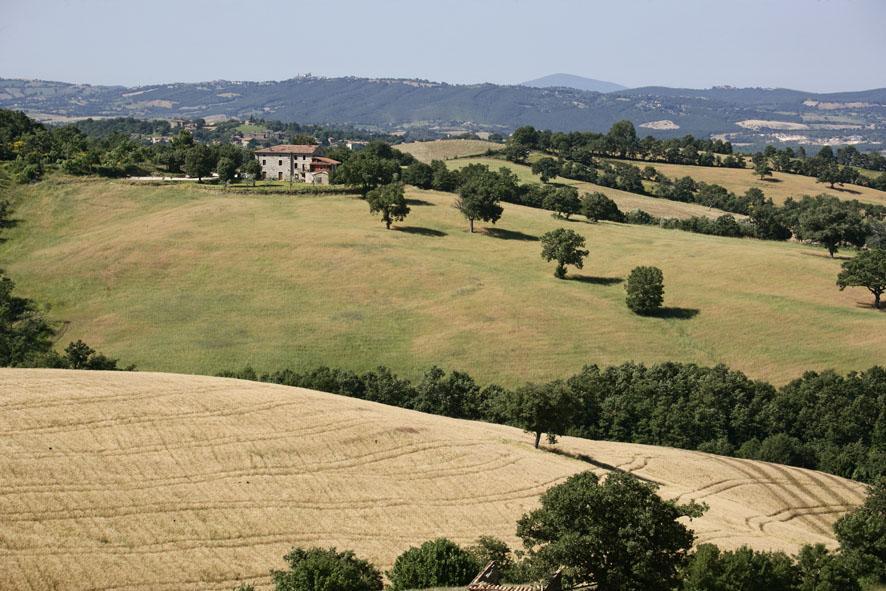 Agriturismo D' Epoca La Marianella Catabbio Oda fotoğraf